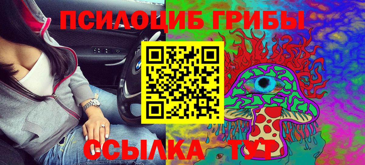 Тайшет  Псилоцибиновые грибы Cubensis  Вход с VPN 